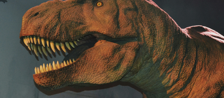 Tiranossauro Rex dentro do Museu de História Natural de Londres