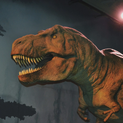 Tiranossauro Rex dentro do Museu de História Natural de Londres