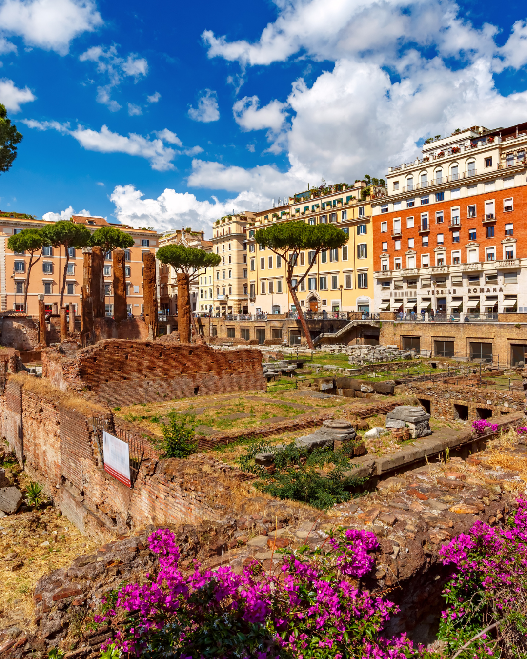 Largo di Torre Argentina em Roma