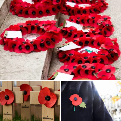 Remembrance Day – O que significa o broche Vermelho? — foto 3