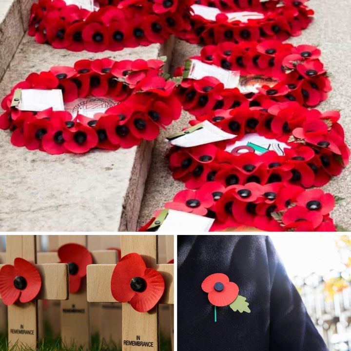Remembrance Day – O que significa o broche Vermelho?