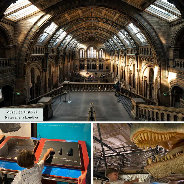 TOP 5 Museus Imperdíveis e Gratuitos em Londres