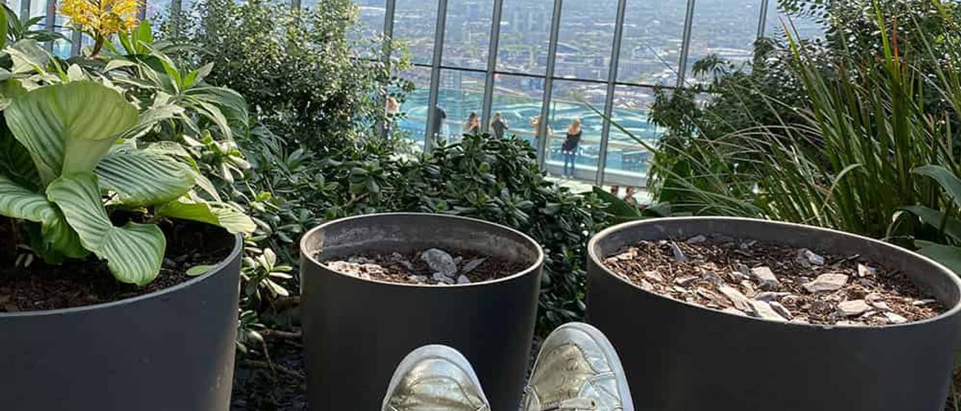 Sky Garden em Londres: um oásis no coração da cidade