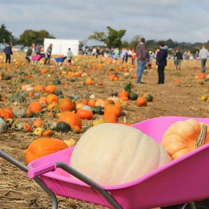 Como é celebrado o Halloween na Inglaterra Reino Unido?