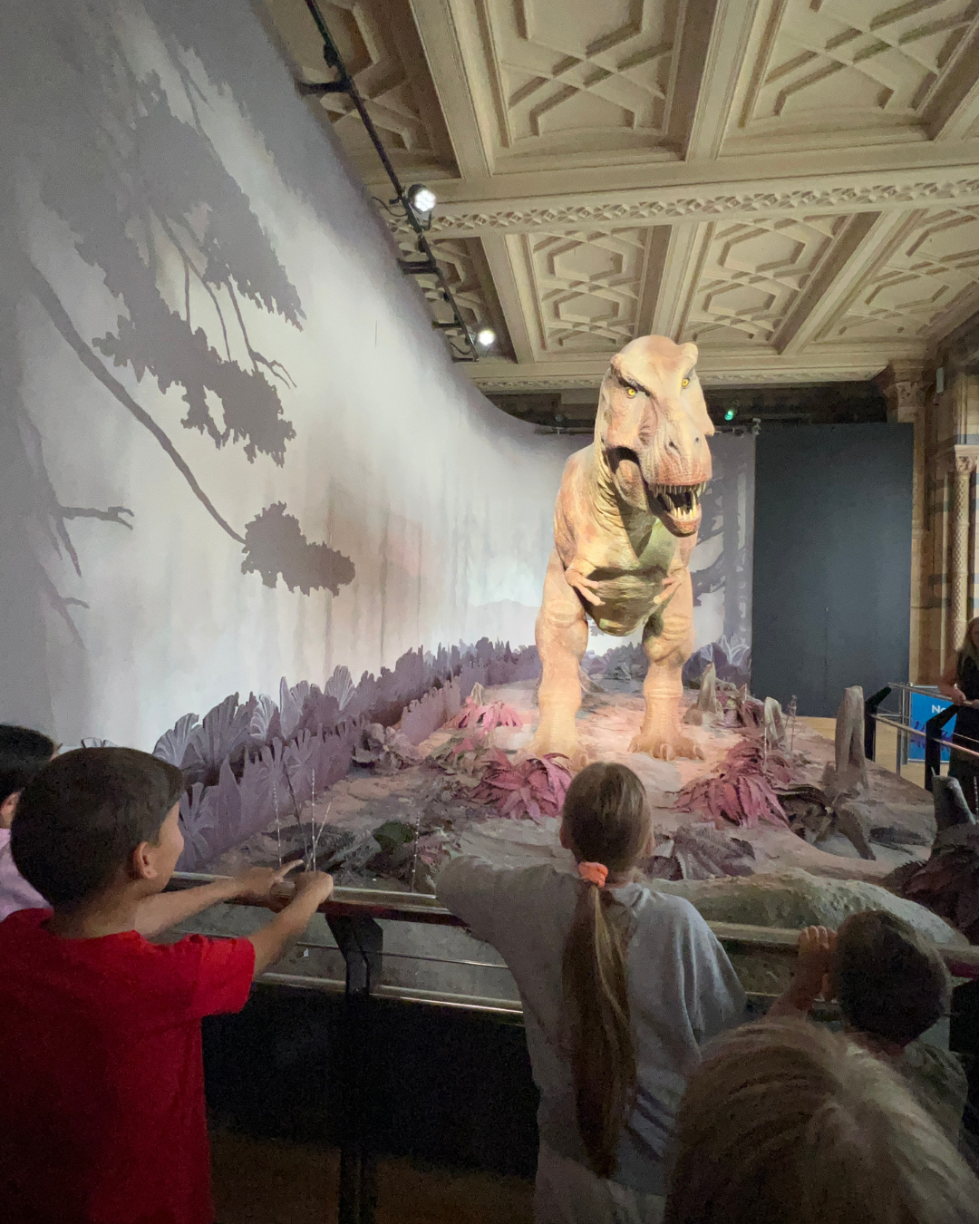 Meu filho observando o T- Rex no Museu de História Natural
