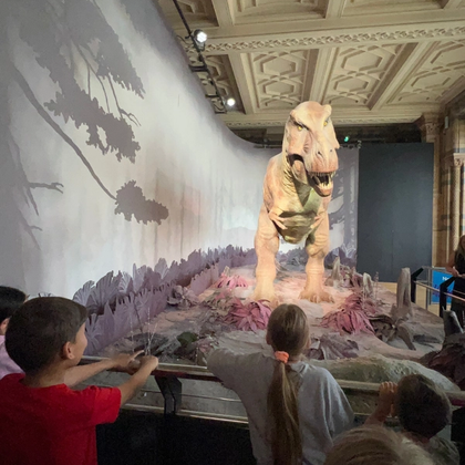 Meu filho observando o T- Rex no Museu de História Natural