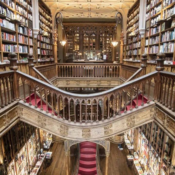 Interior da Livraria Lello - Reprodução Internet