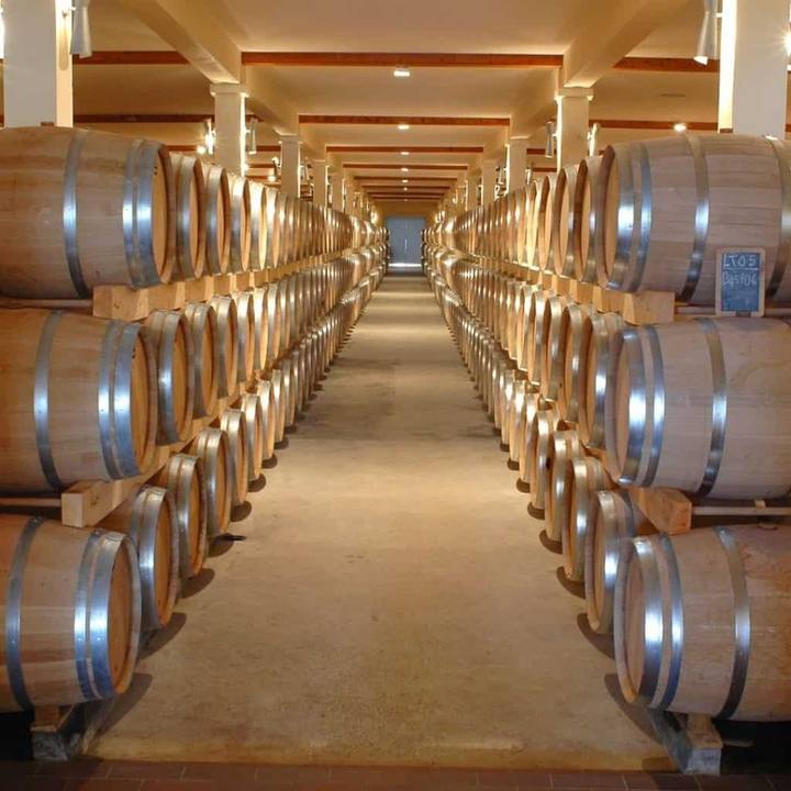 Adega de vinho