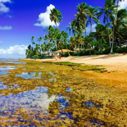 7 Melhores Viagens em Família — foto 6