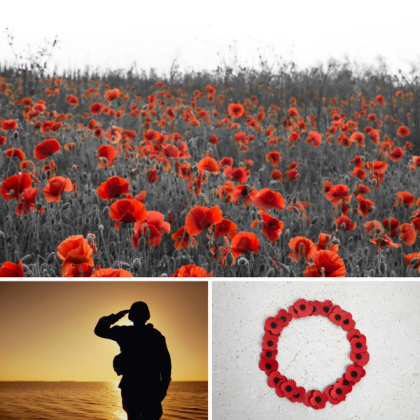 Remembrance Day – O que significa o broche Vermelho? — foto 1