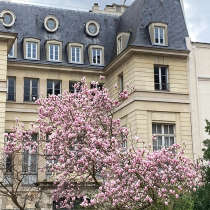 Le Marais