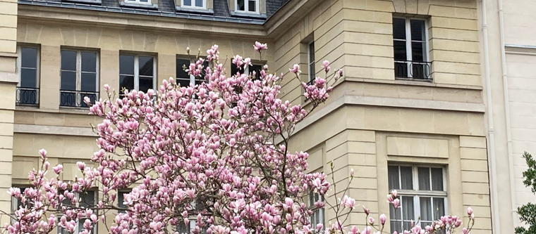 Le Marais