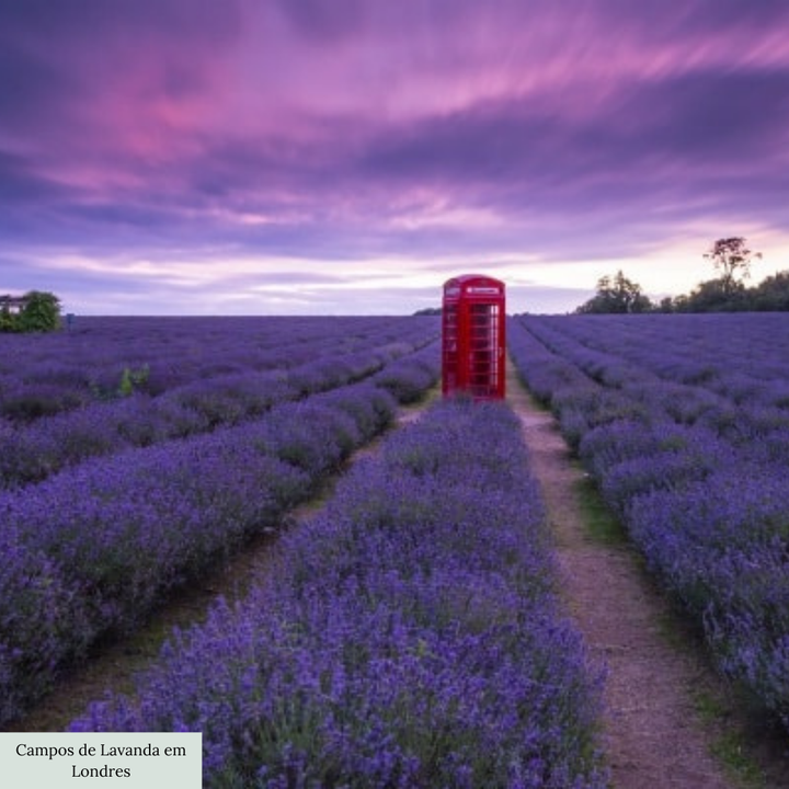 15 Dicas Para Explorar Londres Como Local