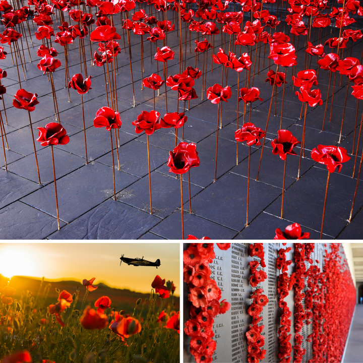 Remembrance Day – O que significa o broche Vermelho?