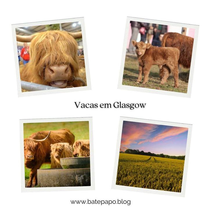 Passeios Gratuito em Glasgow Reino Unido