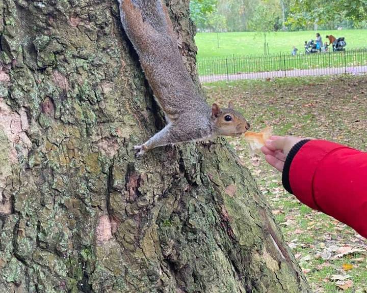 Hyde Park em Londres