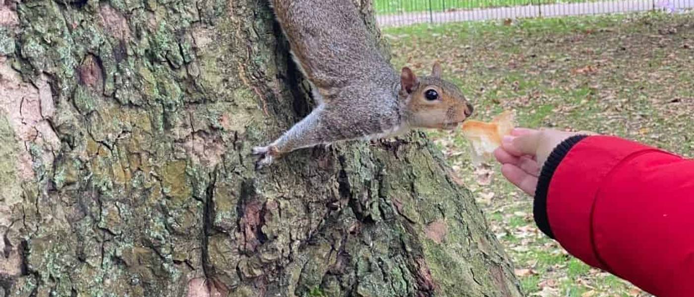 Hyde Park em Londres