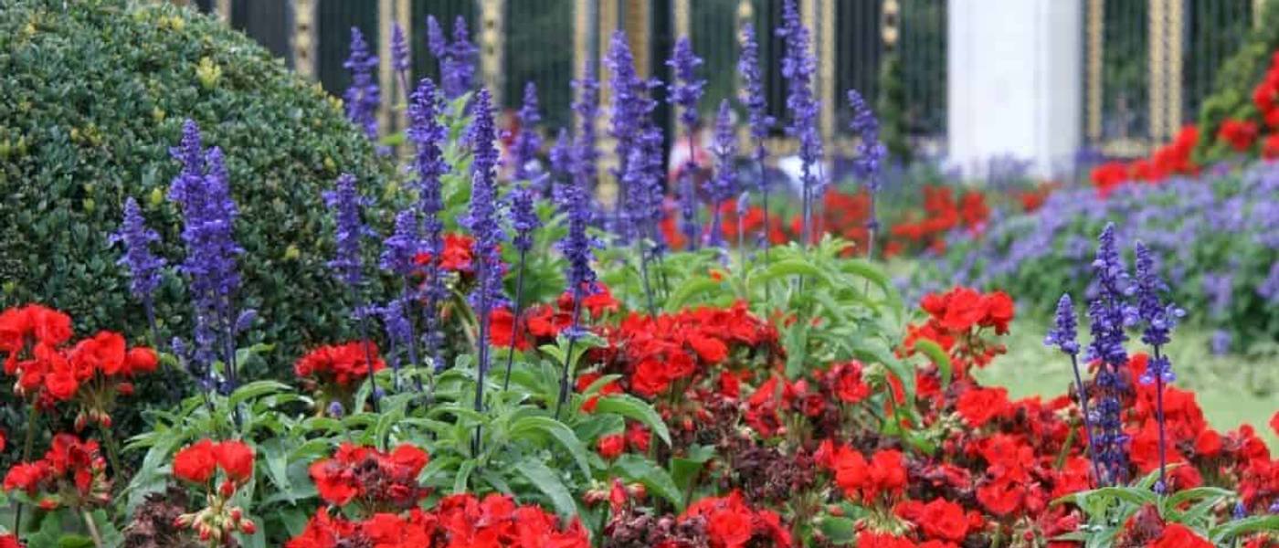 O Que Fazer na Primavera em Londres?
