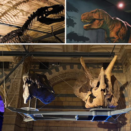 Museu de História Natural em Londres — foto 2