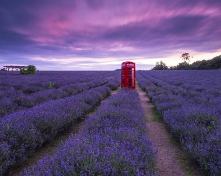 15 Dicas Para Explorar Londres Como Local