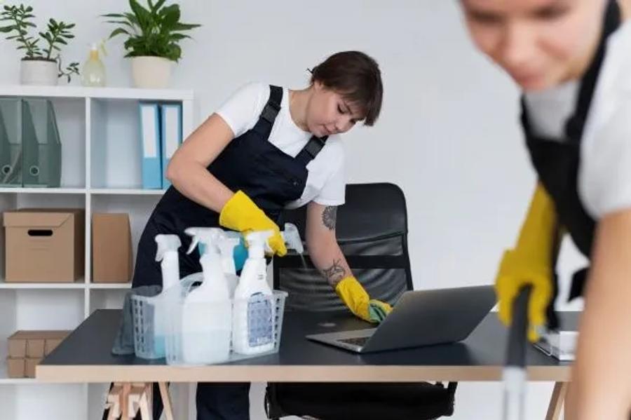 What to Expect From Your First Bee Neat Cleaning Appointment
