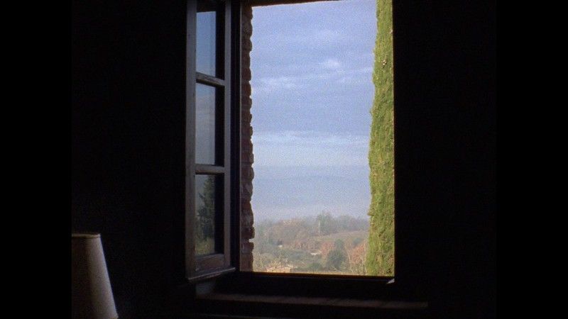 Paesaggio da una finestra aperta