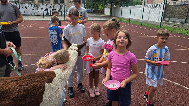 Sportowe półkolonie – lipiec 2026