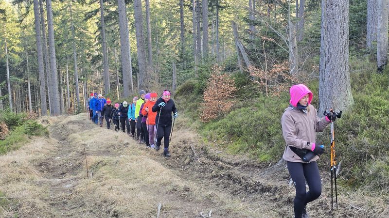 obóz nordic walking