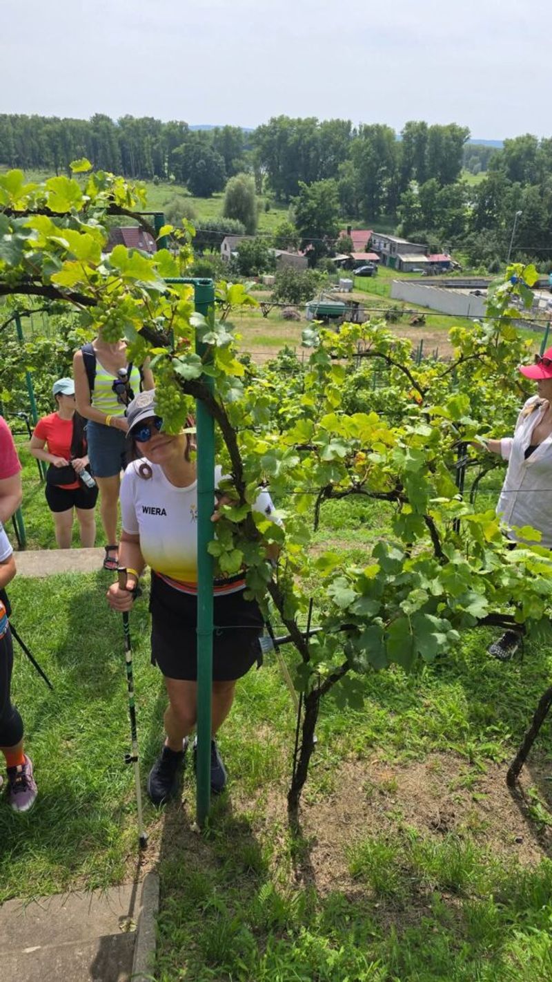 II Rajd Nordic Walking