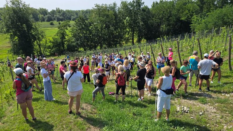 II Rajd Nordic Walking