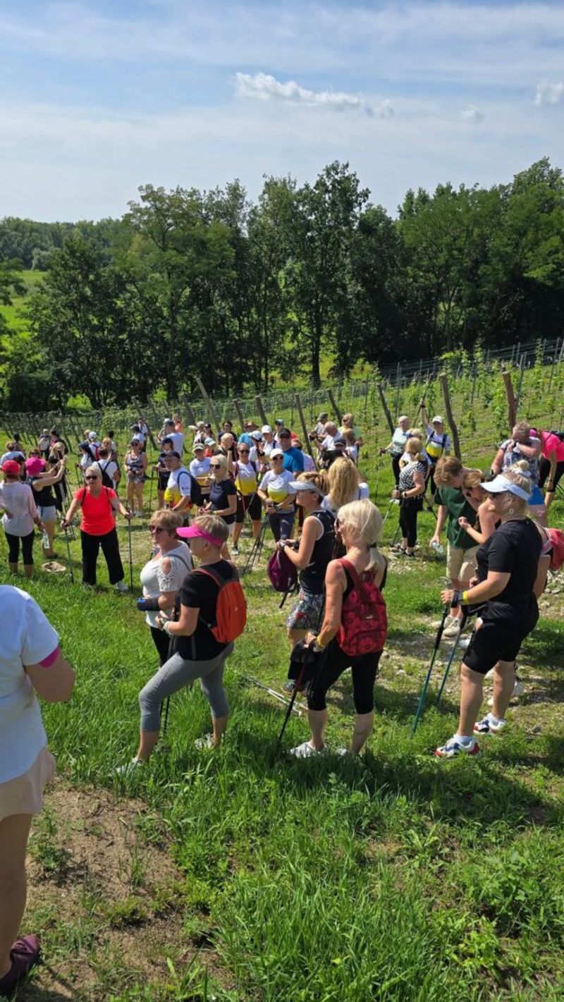 II Rajd Nordic Walking