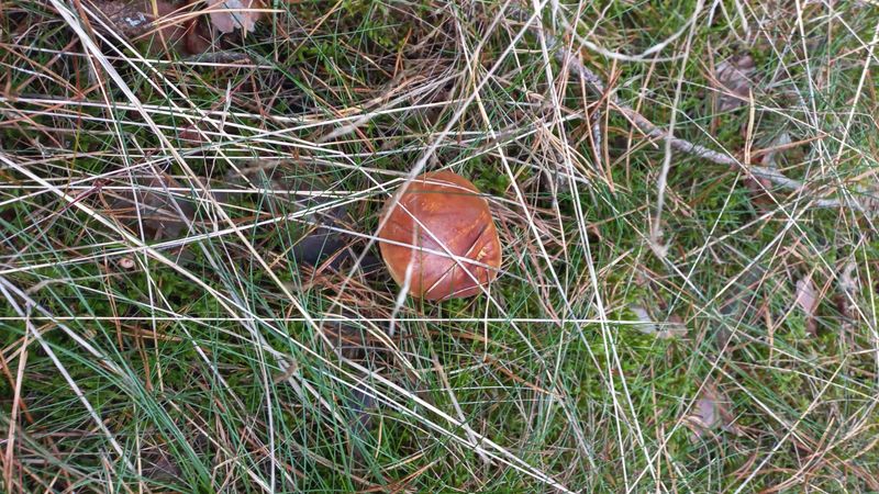 IMG-20250922-WA0032