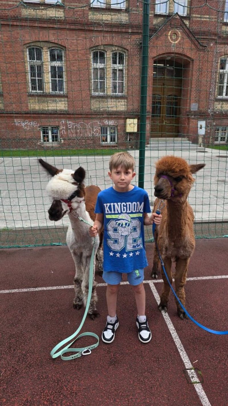 Sportowe półkolonie – lipiec 2026