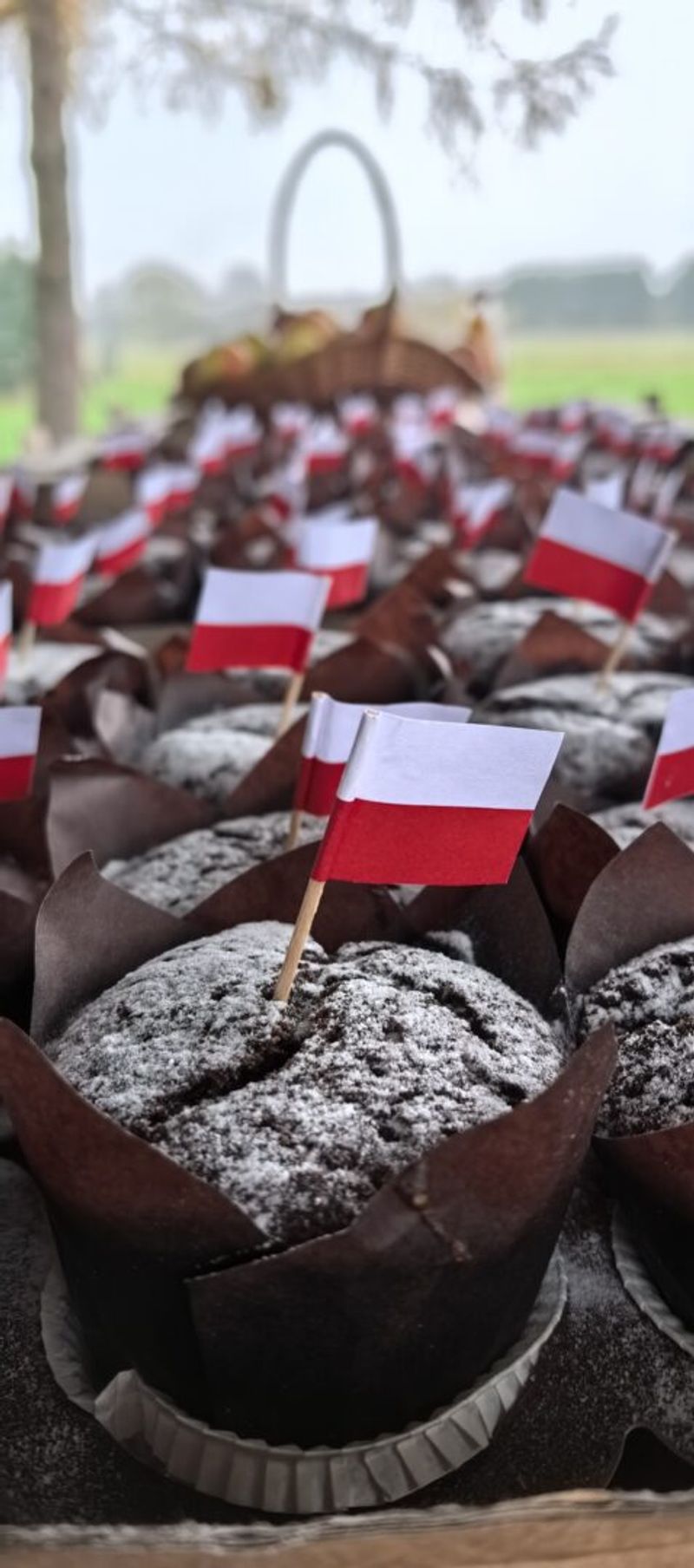Rajd NW Niepodległościowy