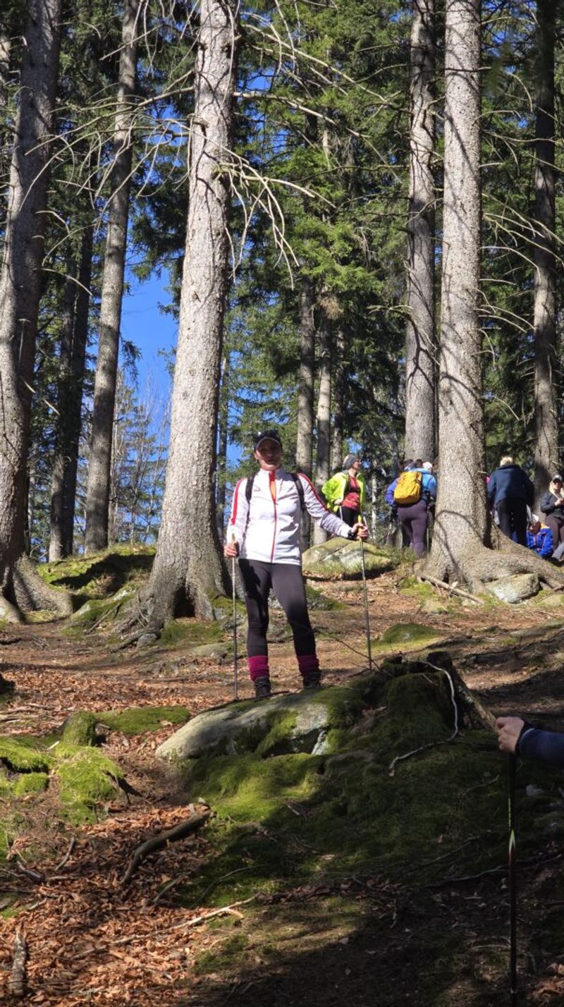 obóz nordic walking