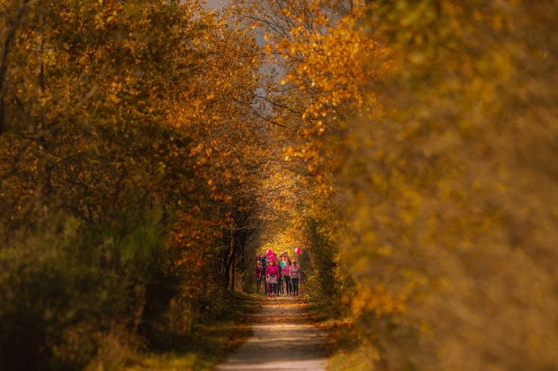20251026-0S6A0055-fot.Lukasz.Kulczynski
