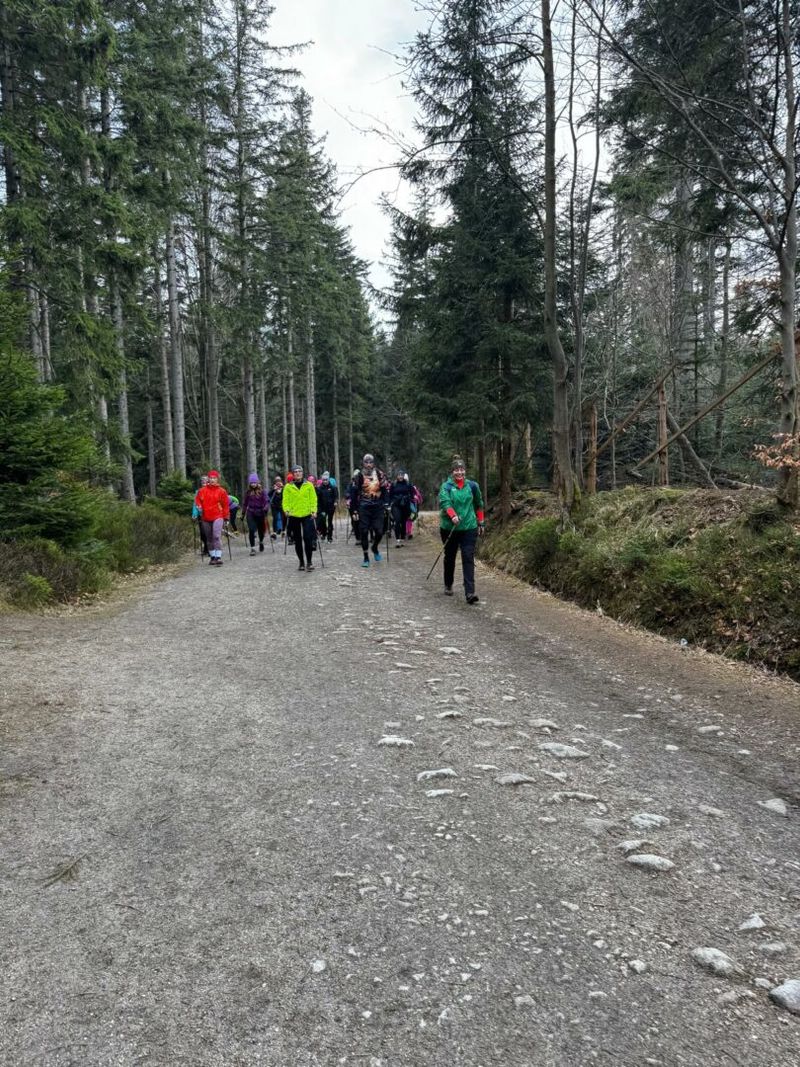 obóz nordic walking