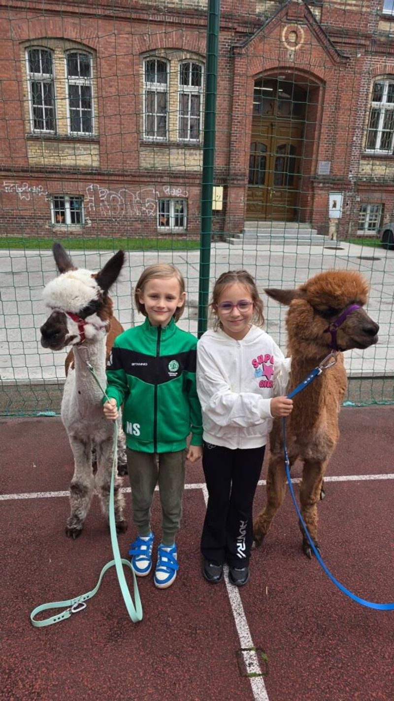 Sportowe półkolonie – lipiec 2026