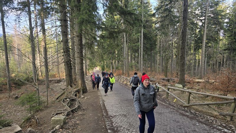 obóz nordic walking