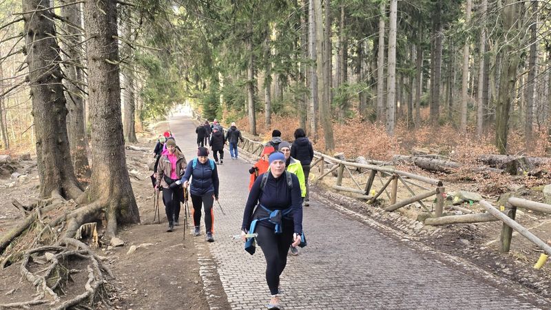 obóz nordic walking
