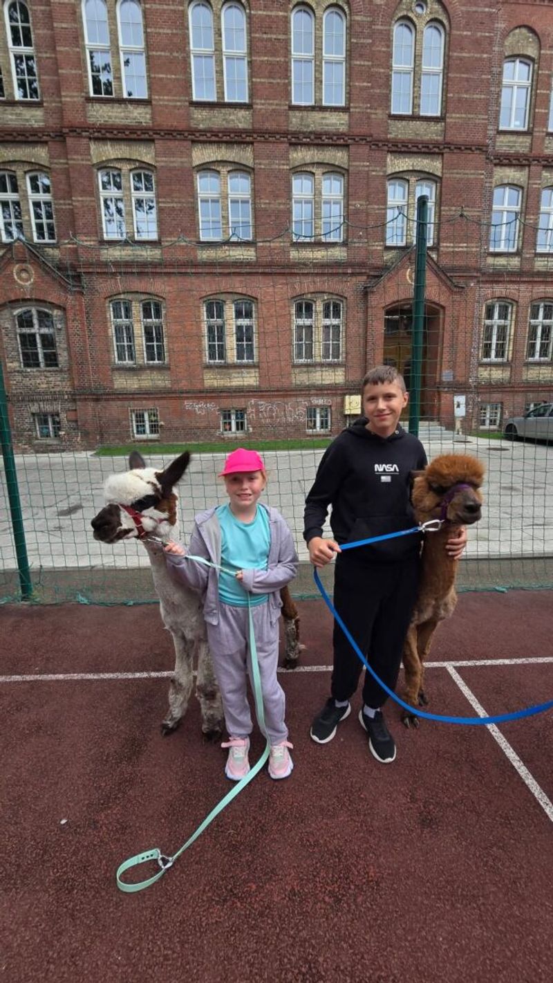 Sportowe półkolonie – lipiec 2026