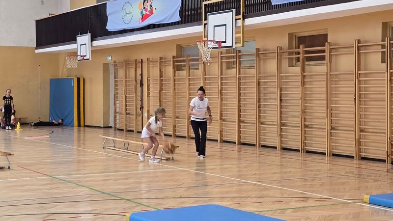 Sportowe półkolonie – lipiec 2026