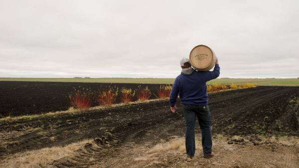 The Craft of Whiskey Making