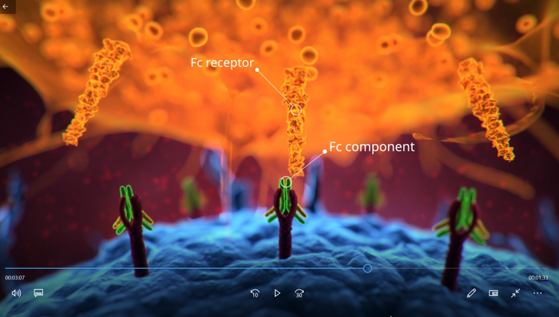 Still from the scientifically annotated 3D rendered animation