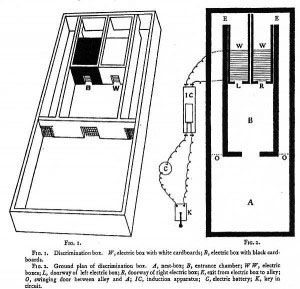 yerkes mouse explanation