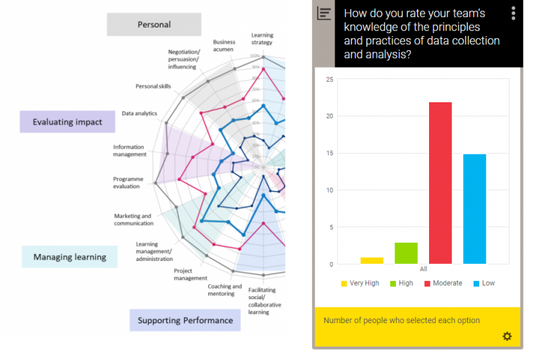 Data skills gap