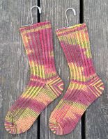 Picture of Favorite Beastly Socks by Judy M. Ellis, Handiwords Ltd LLC