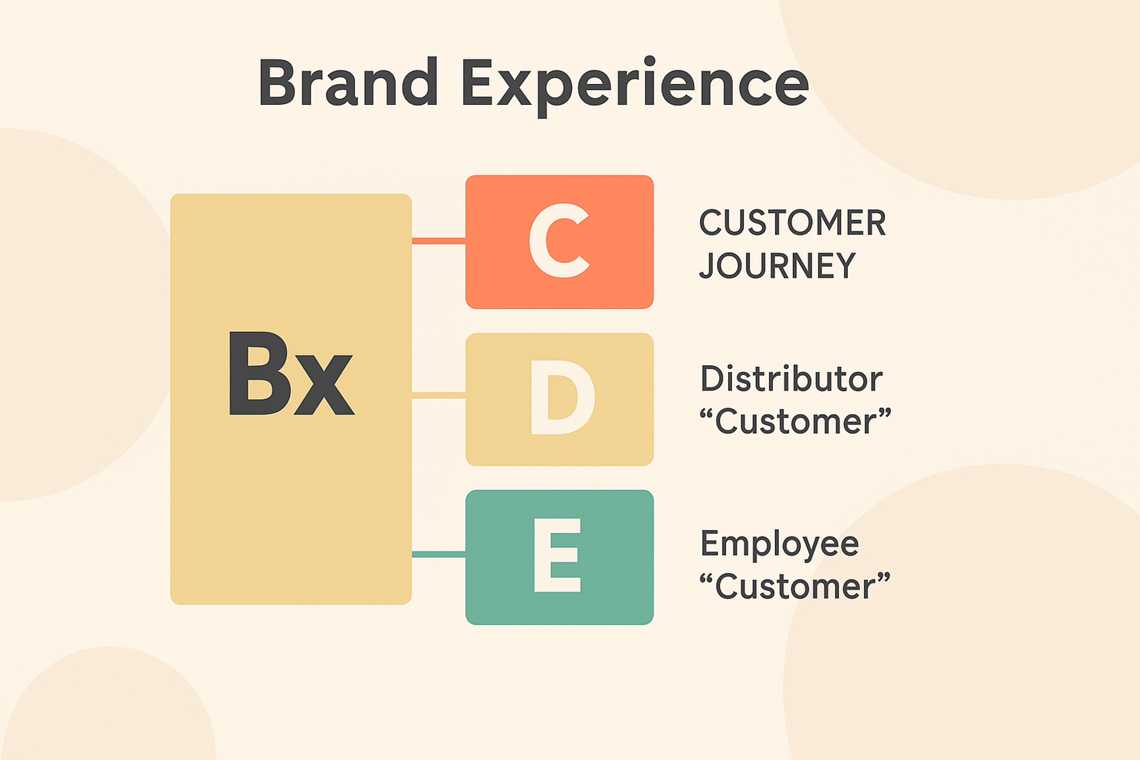 Brand experience