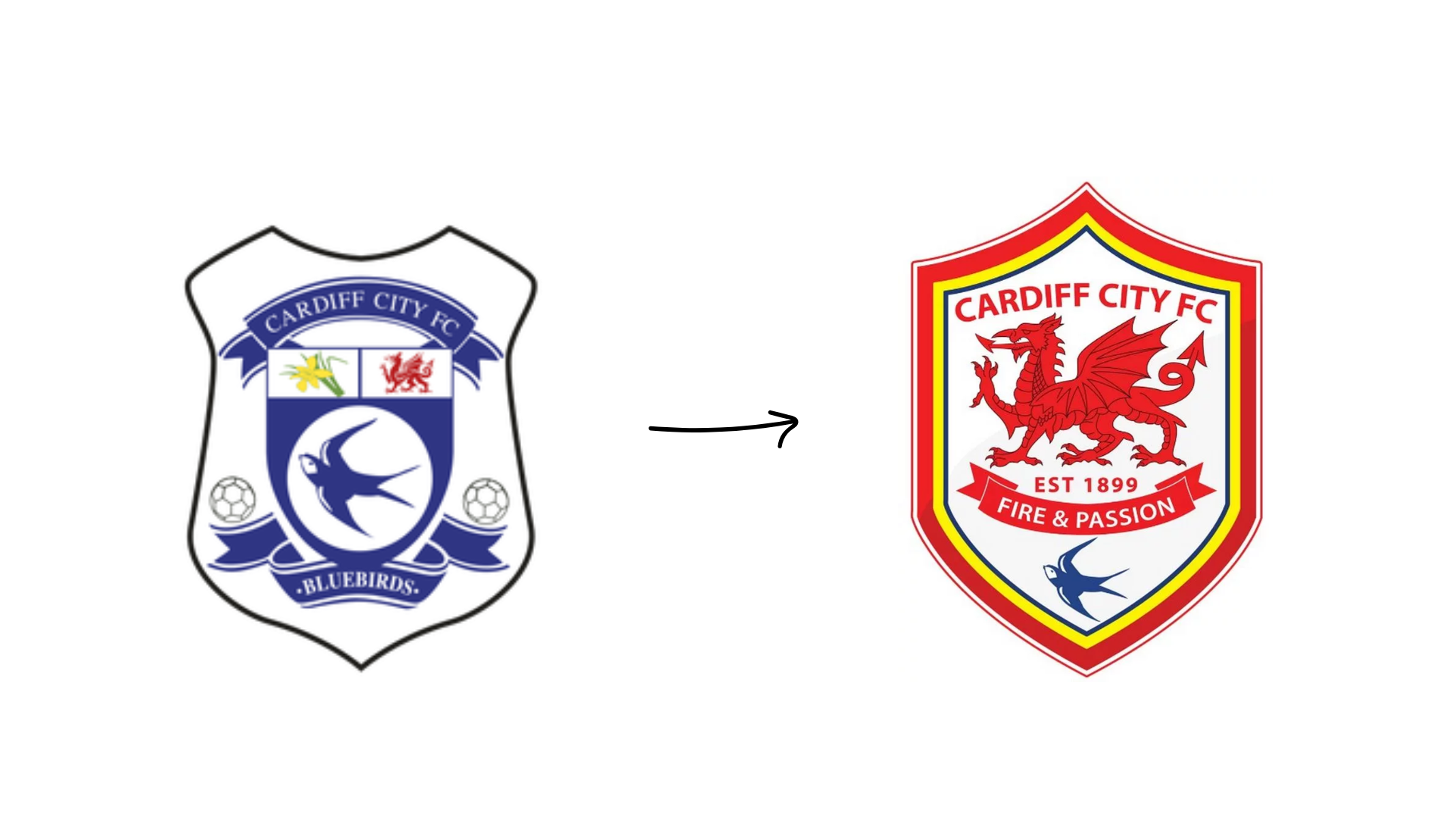 cardiff city fc example