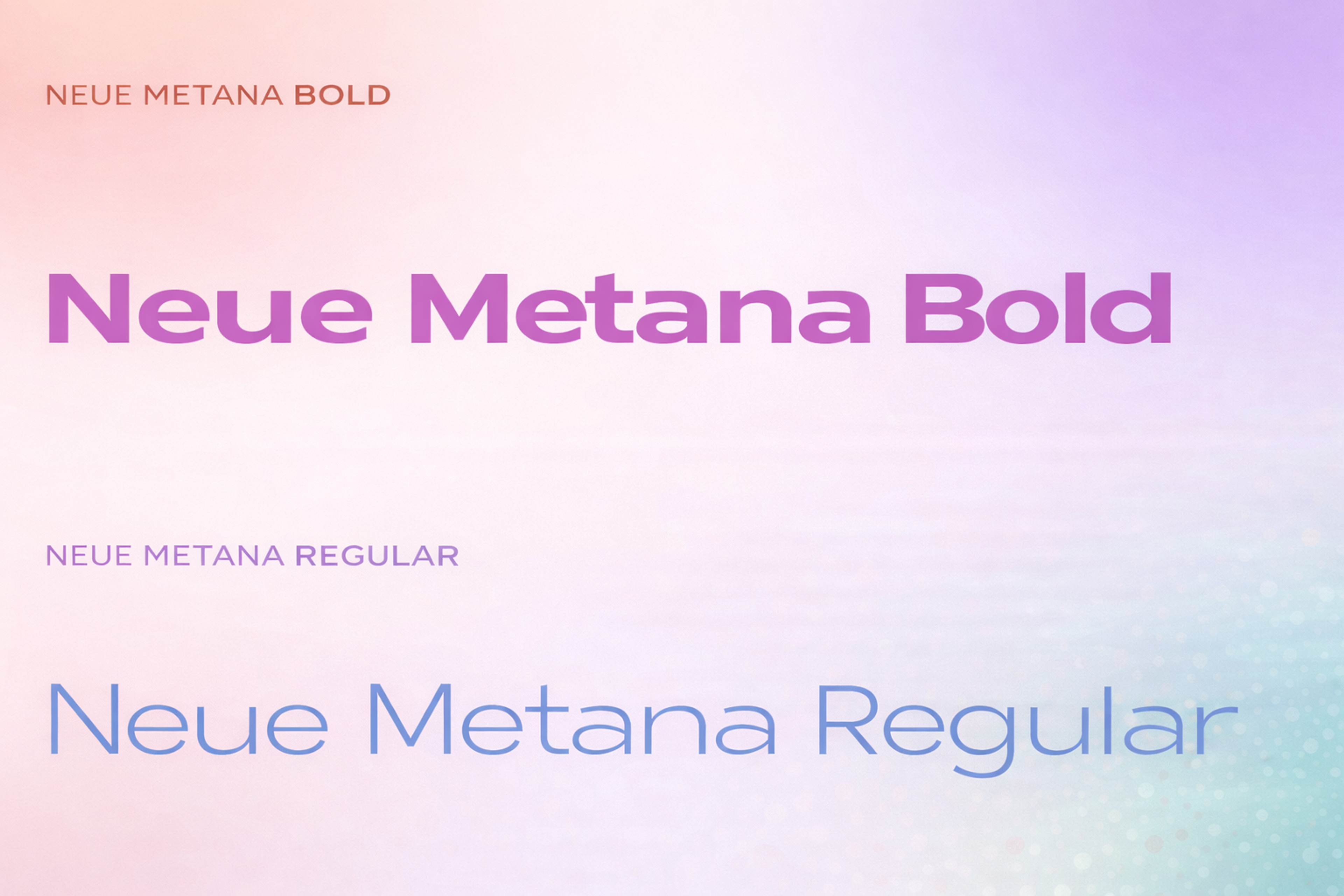 neue metana bold